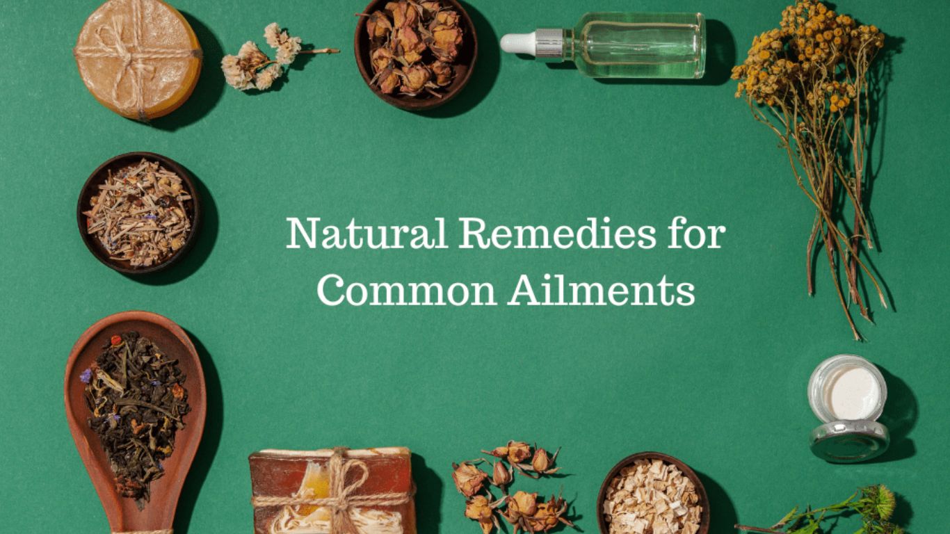 Natural Remedies for Common Ailments: What Really Works? In our speedy world, eating frequently turns into a rushed, thoughtless action